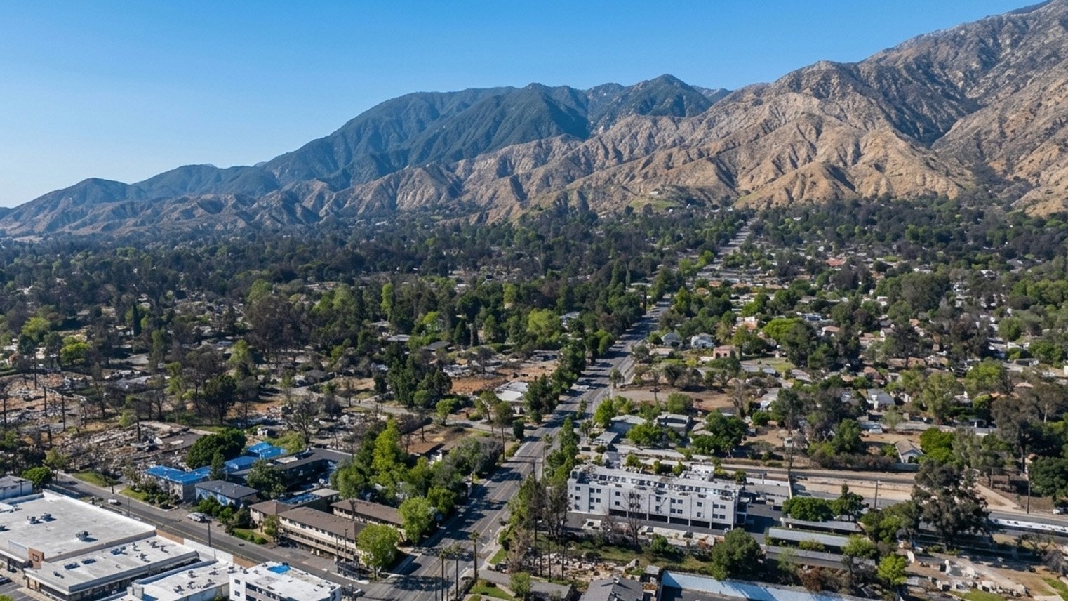 Aerial view of Altadena, a straight avenue running toward the San Gabriel Mountains, fire scarred lots along its edges.
